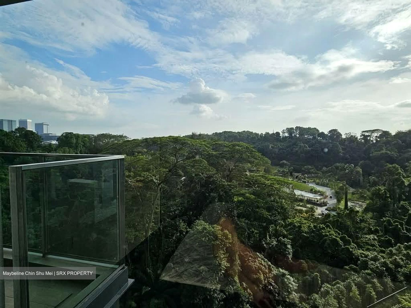 Normanton Park (D5), Apartment #551850721
